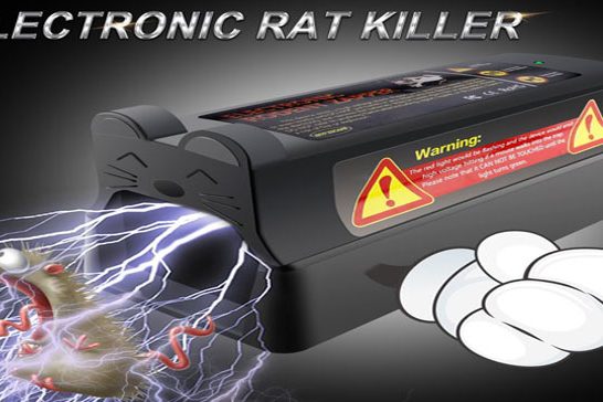 digital rodent traps