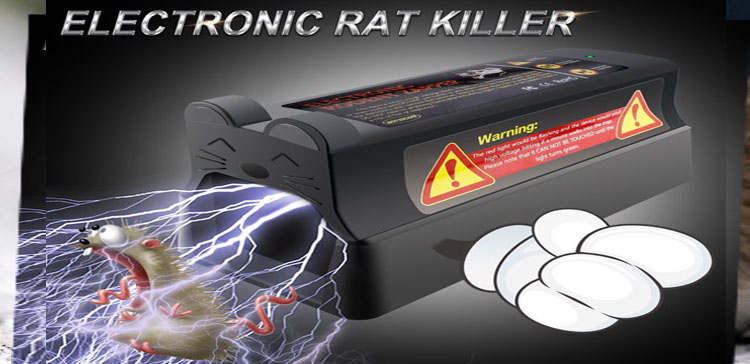 digital rodent traps