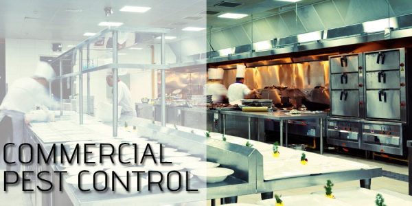 COMMERCIAL PEST CONTROL